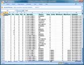 Exported SQL data viewed in MS Excel. Click to enlarge.